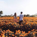 5 Objek Wisata di Bali yang Instagramable & Paling Hits